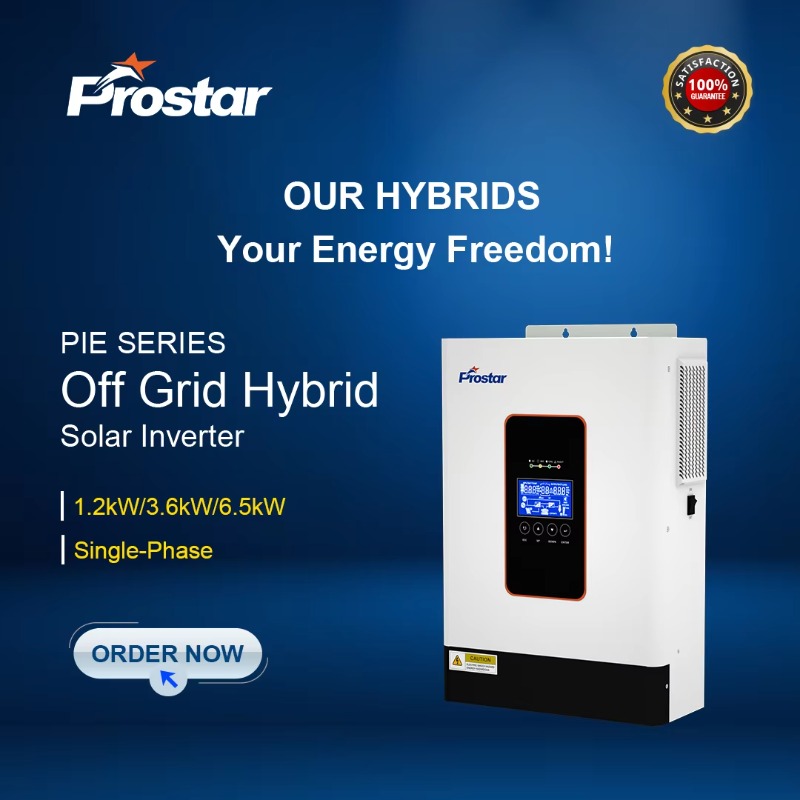 【2026】3.6kw 12V 24V 48V Pure S - Renewable Energy Grid avis et prix
