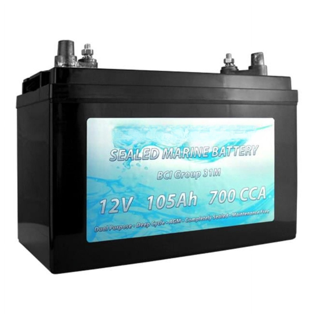 BCI Group 31M Dual Purpose Dee - Agm Deep Cycle Battery avis et prix
